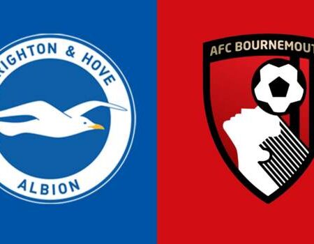 Soi kèo Brighton vs Bournemouth 20:00 pm ngày 24/09/2023: Kèo Thơm Mòng Biển